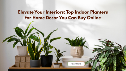 Elevate Your Interiors: Top Indoor Planters for Home Decor You Can Buy Online