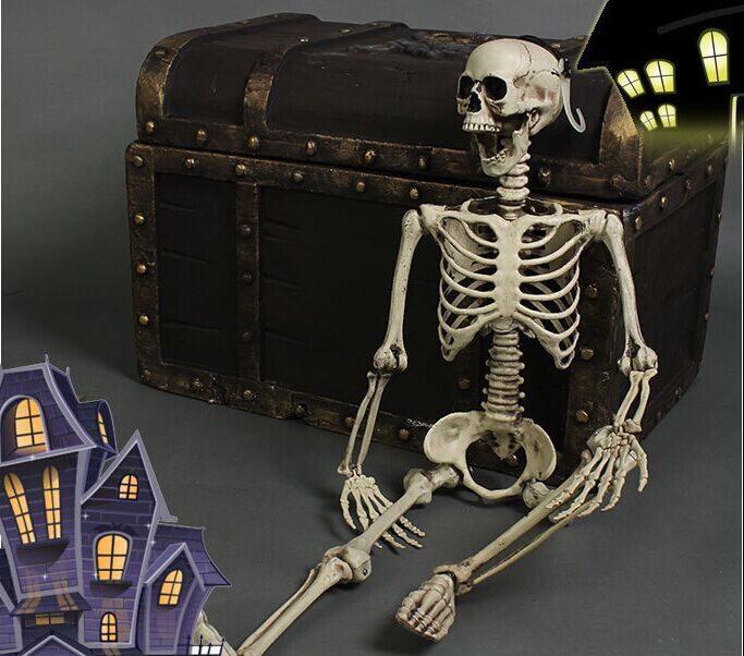 Life Size Skeleton Decoration for Halloween