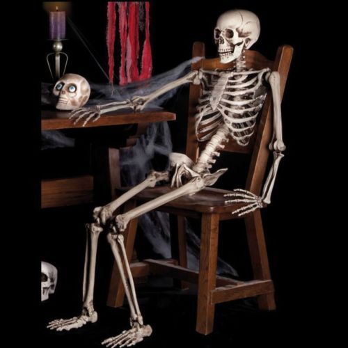 Life Size Skeleton Decoration for Halloween
