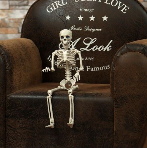 Life Size Skeleton Decoration for Halloween