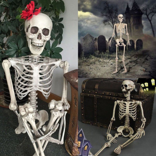 Life Size Skeleton Decoration for Halloween