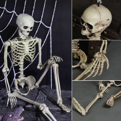 Life Size Skeleton Decoration for Halloween