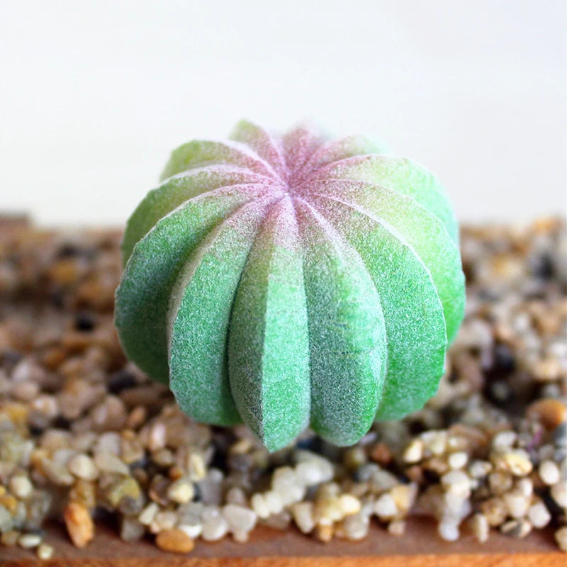 Artifical Plastic Succulent Plant