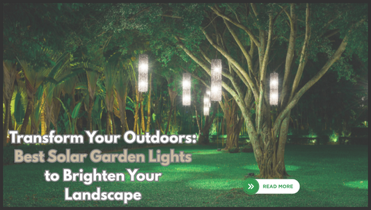 Transform Your Outdoors: Best Solar Garden Lights to Brighten Your Landscape