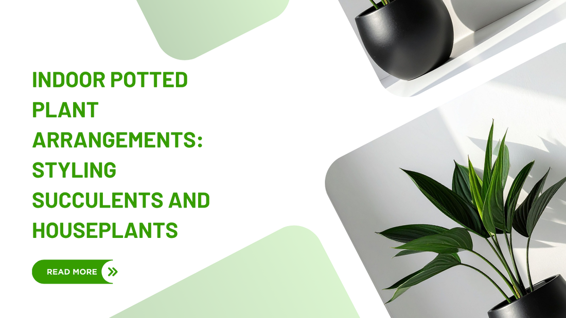 indoor-potted-plant-arrangements