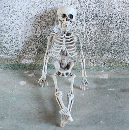 Life Size Skeleton Decoration for Halloween