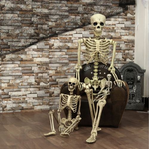 Life Size Skeleton Decoration for Halloween
