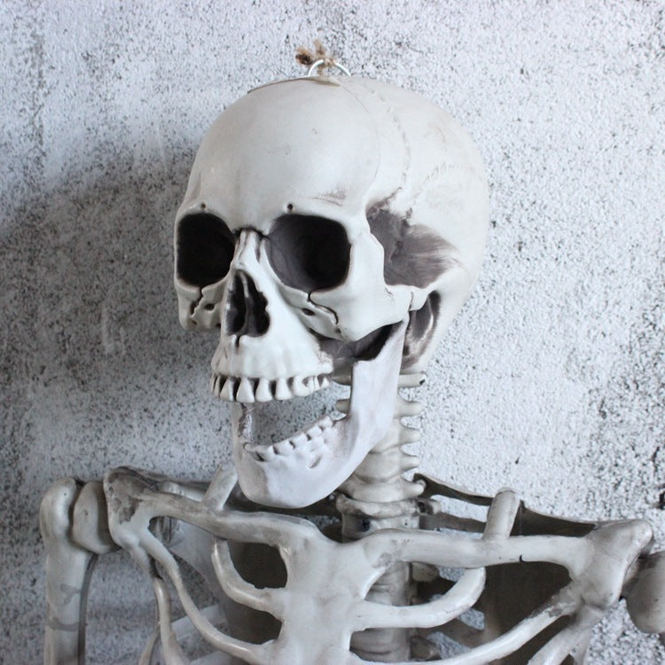 Life Size Skeleton Decoration for Halloween
