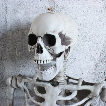 Life Size Skeleton Decoration for Halloween