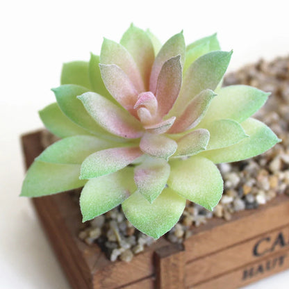 Artifical Plastic Succulent Plant