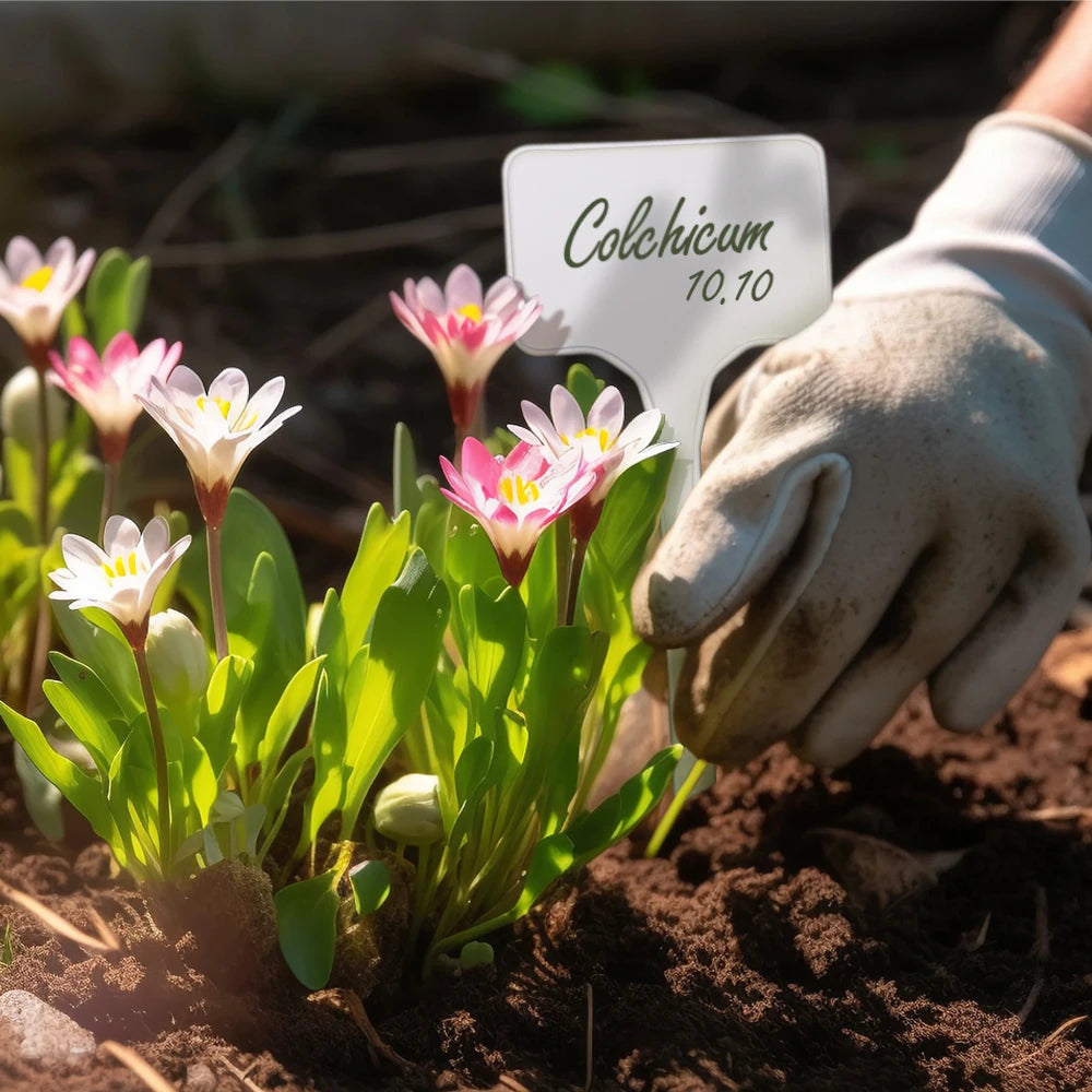 T-Shaped Plastic Plant Tags