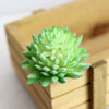 Green Givalen