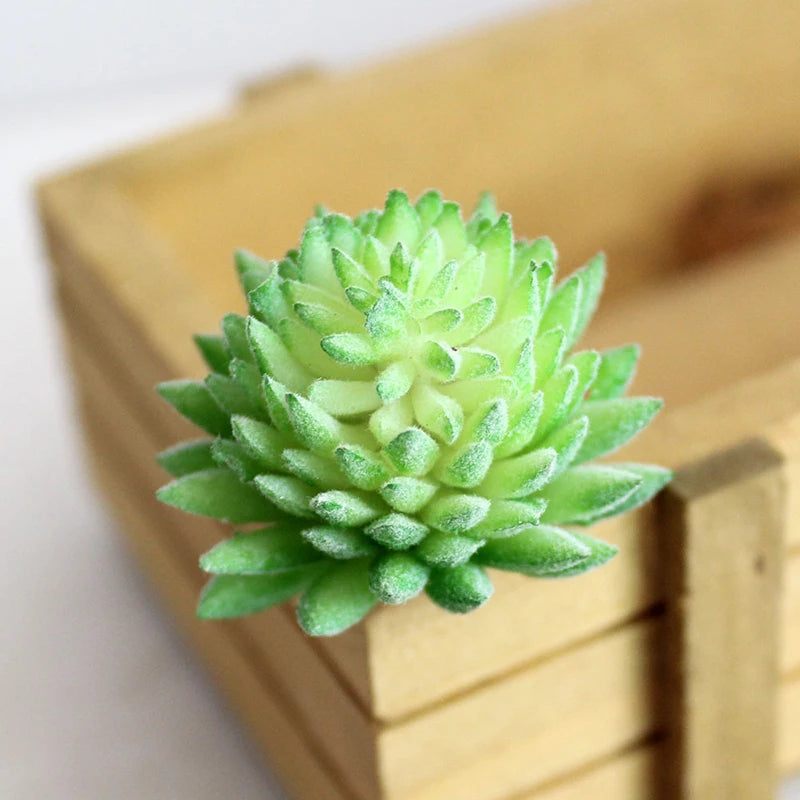 Artifical Plastic Succulent Plant