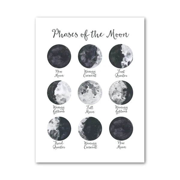 Lunar Phase Wall Art