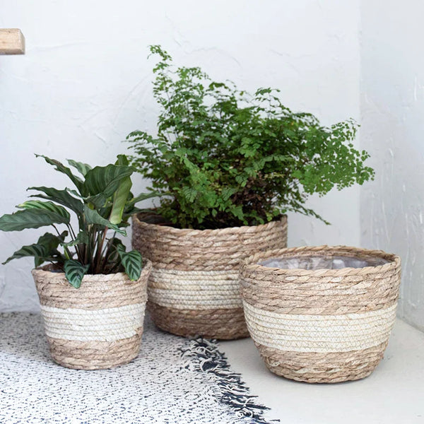 Seagrass Planter Basket Flower Pots