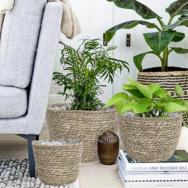 Seagrass Planter Basket Flower Pots