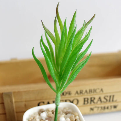 Artifical Plastic Succulent Plant