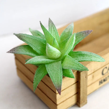 Artifical Plastic Succulent Plant