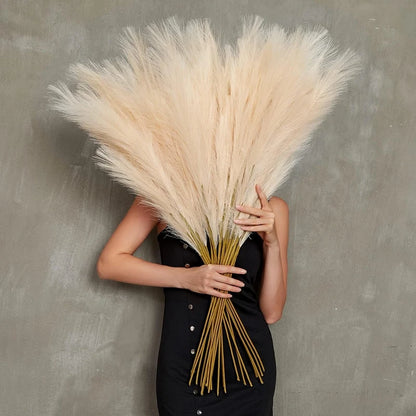 Tall Natural Pampas Grass