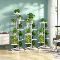 Indoor Wooden Tiered Plant Stand