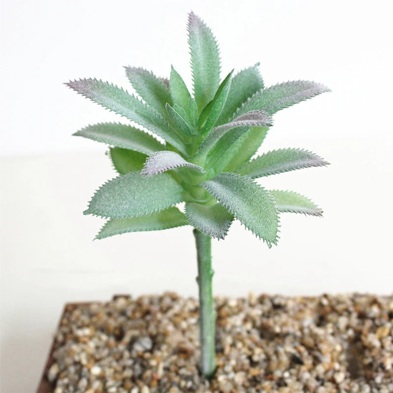 Artifical Plastic Succulent Plant