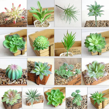 Artifical Plastic Succulent Plant