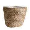 Beige small
