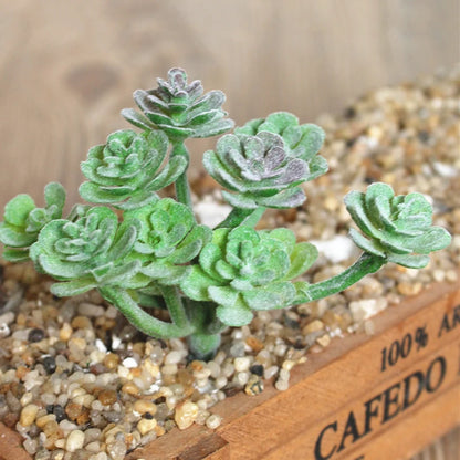 Artifical Plastic Succulent Plant