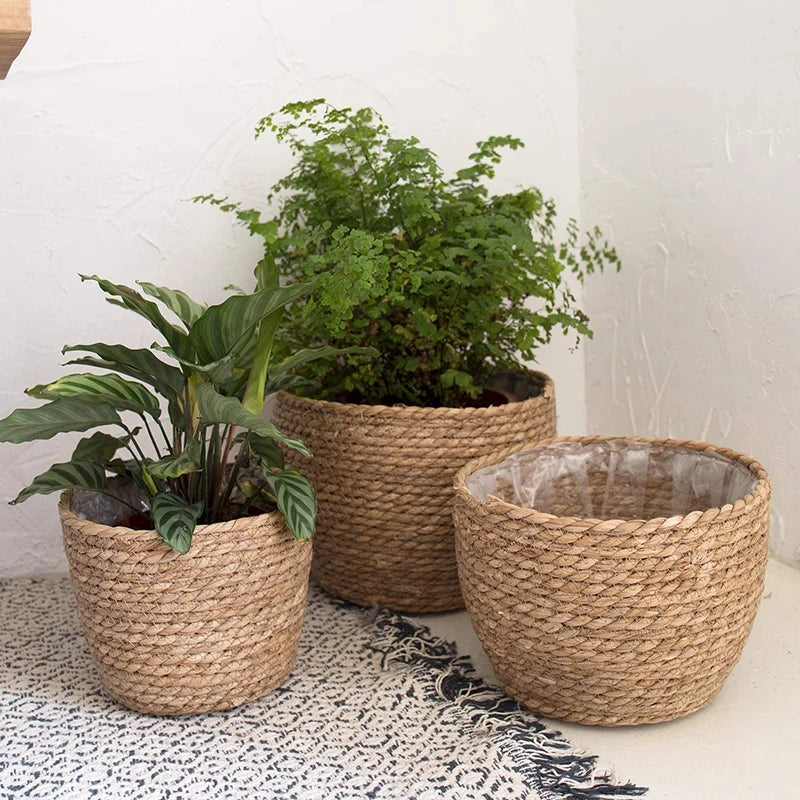 Seagrass Planter Basket Flower Pots