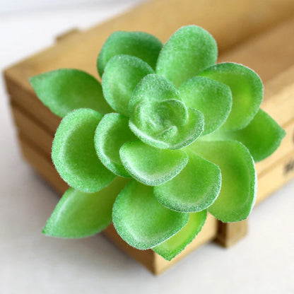 Artifical Plastic Succulent Plant