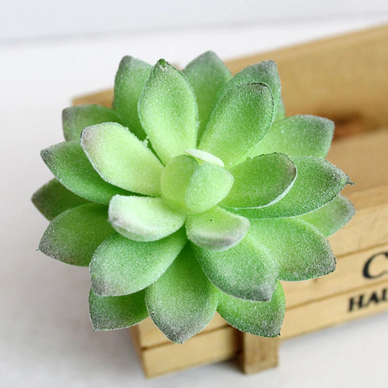 Artifical Plastic Succulent Plant