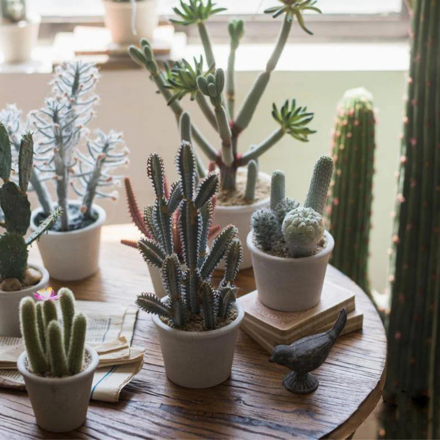 artificial-succulent-plant