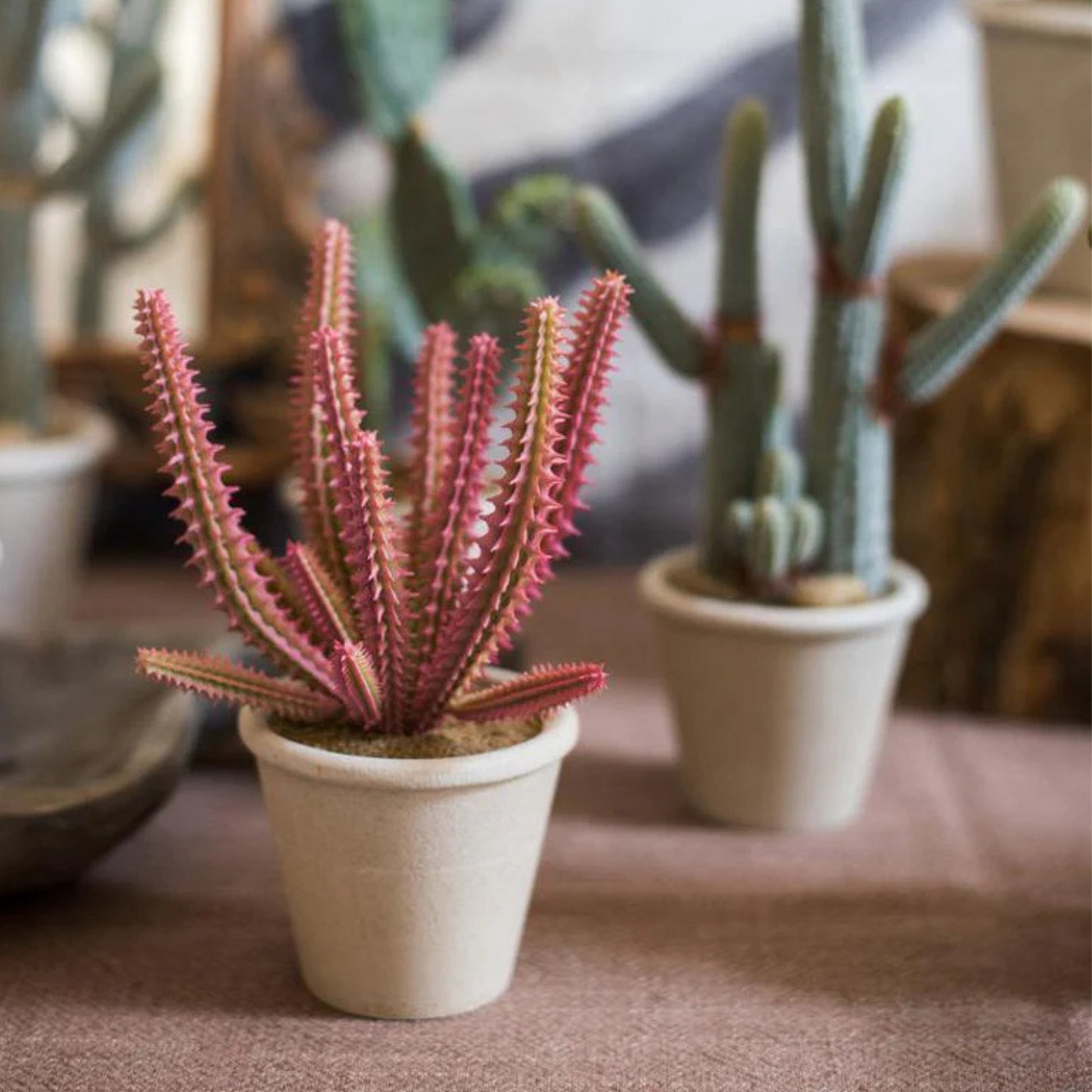 artificial-succulent-plant