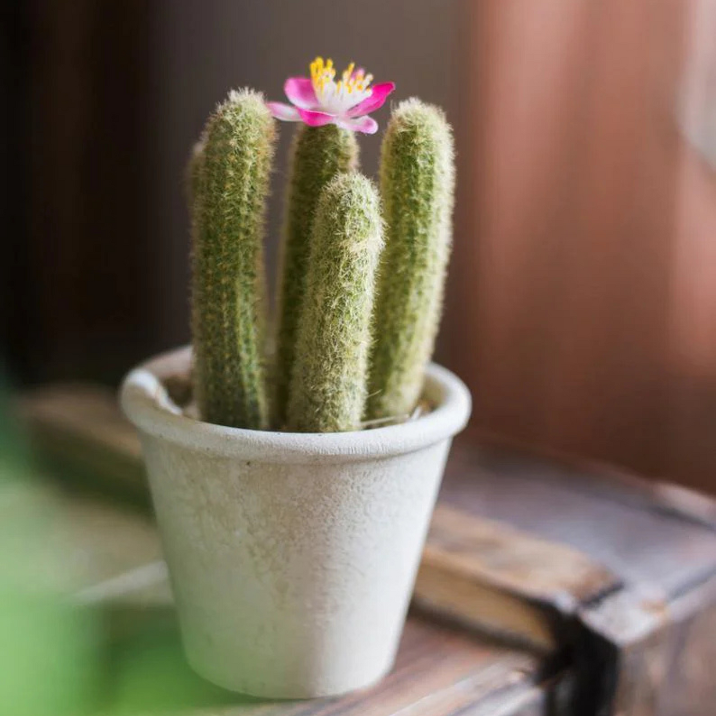 artificial-succulent-plant